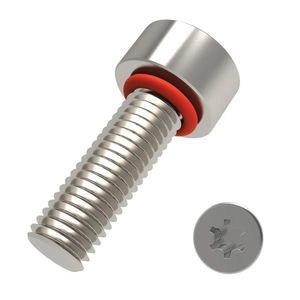 fastening screw 1