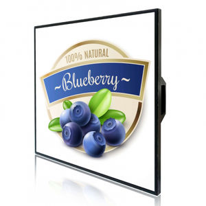 LCD monitor