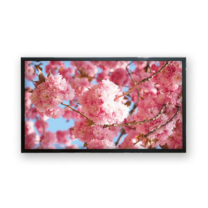 LCD monitor