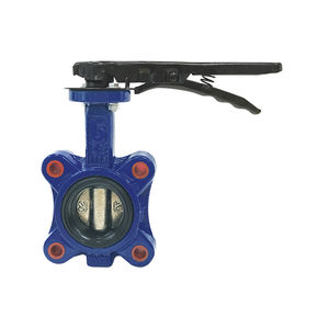 butterfly valve