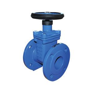 gate valve 1