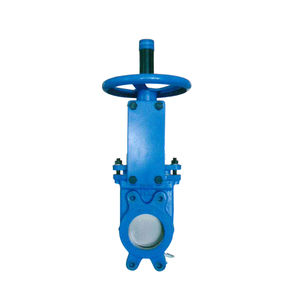 unidirectional valve