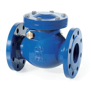 swing check valve