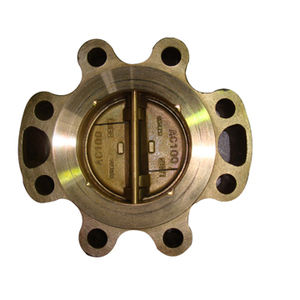 dual plate check valve