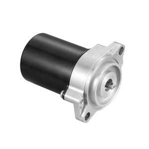 brushed motor / 12V / high-torque / permanent magnet