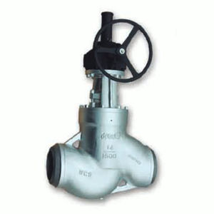 gate valve