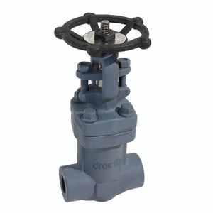 gate valve