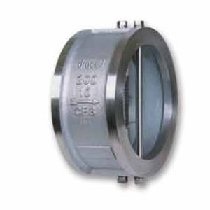 double-flange check valve