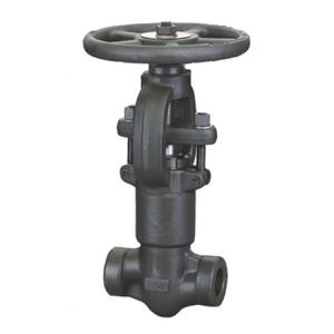 globe valve