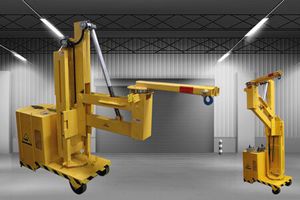electric shop crane 1