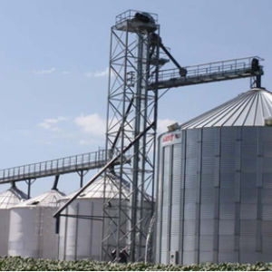 Soybean conveyor - All industrial manufacturers