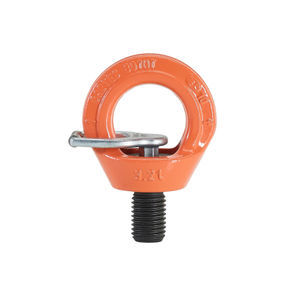 hoist ring with swivel 1