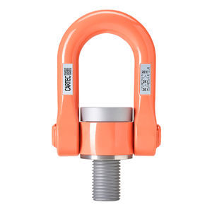 swivel hoist ring