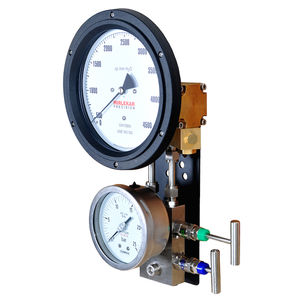 differential pressure gauge