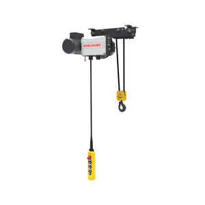 electric belt hoist