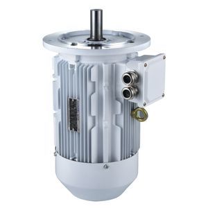 IE3 motor