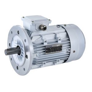 low-voltage motor