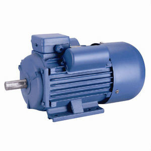 single-phase motor