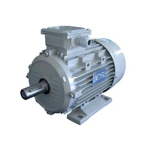 cast iron frame motor