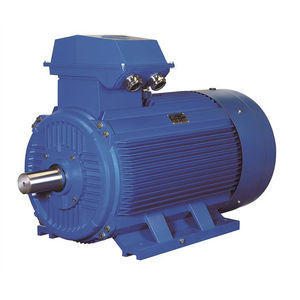 IECEx motor