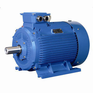 IP55 motor