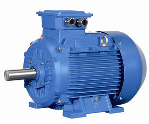 permanent magnet motor