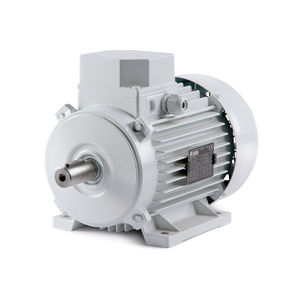 IE1 motor