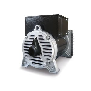 带自动调压器的交流发电机