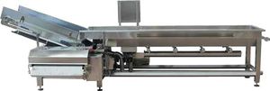 fruit washing machine