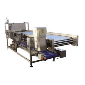 roller conveyor