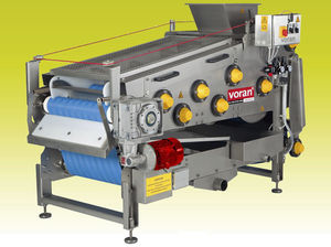 juice belt press