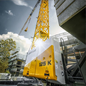 fixed crane 1