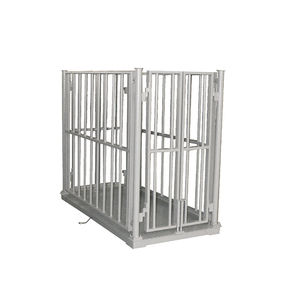 animal scale 1