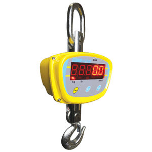 digital crane scale 1