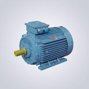 motor with variable frequency drive