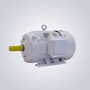 NEMA motor