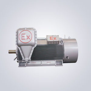 high-voltage motor