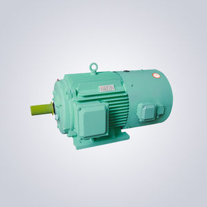 permanent magnet motor