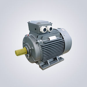 self-starting motor