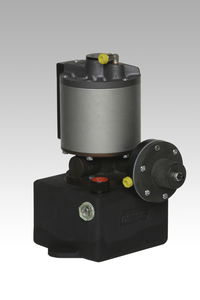 hydraulic piston pump 1