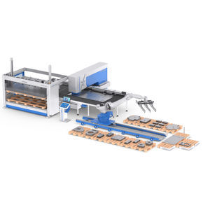 automated sorting machine 1