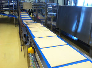 belt conveyor
