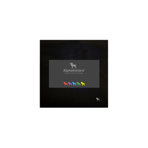 LCD monitor