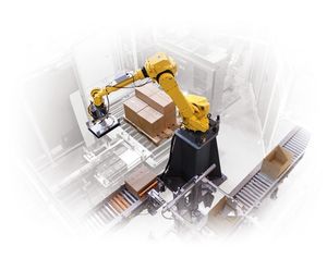 vertical case packer / robotic / multi-function