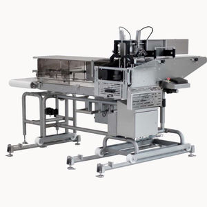 belt conveyor