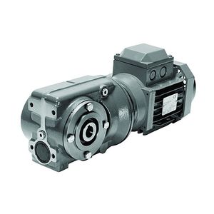 worm gear-motor