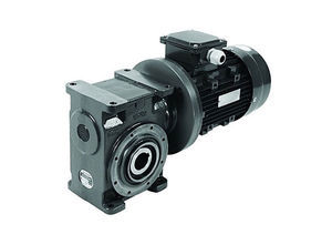 worm gear screw