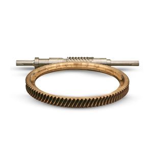 worm gear screw
