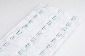 container desiccant bag