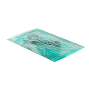 PE sachet